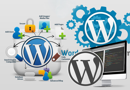 học làm web bằng wordpress