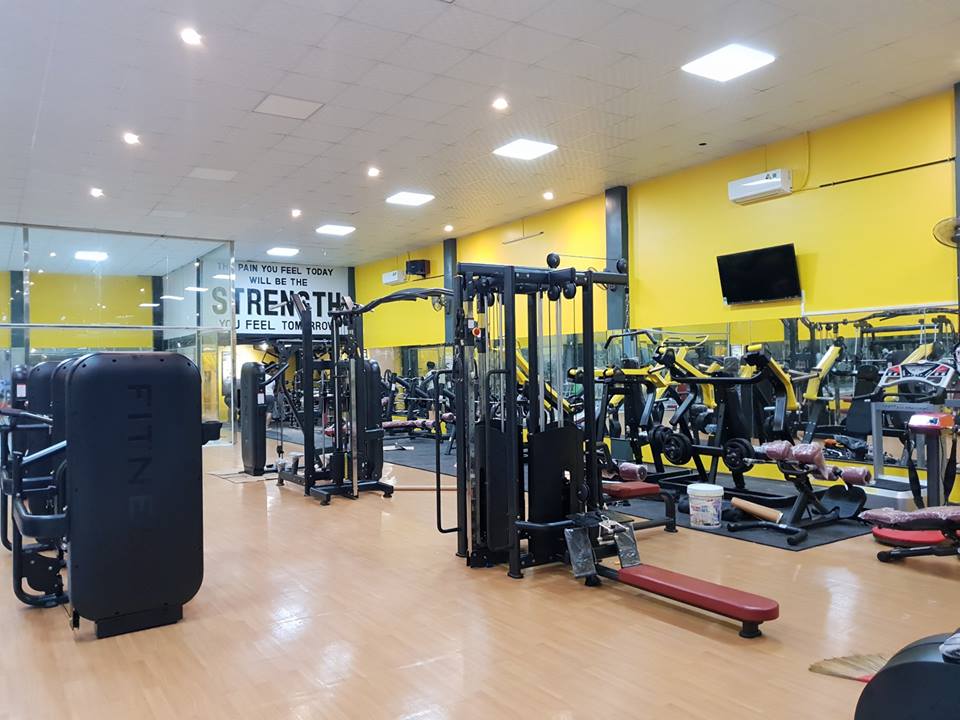 thiết kế website phòng tập gym