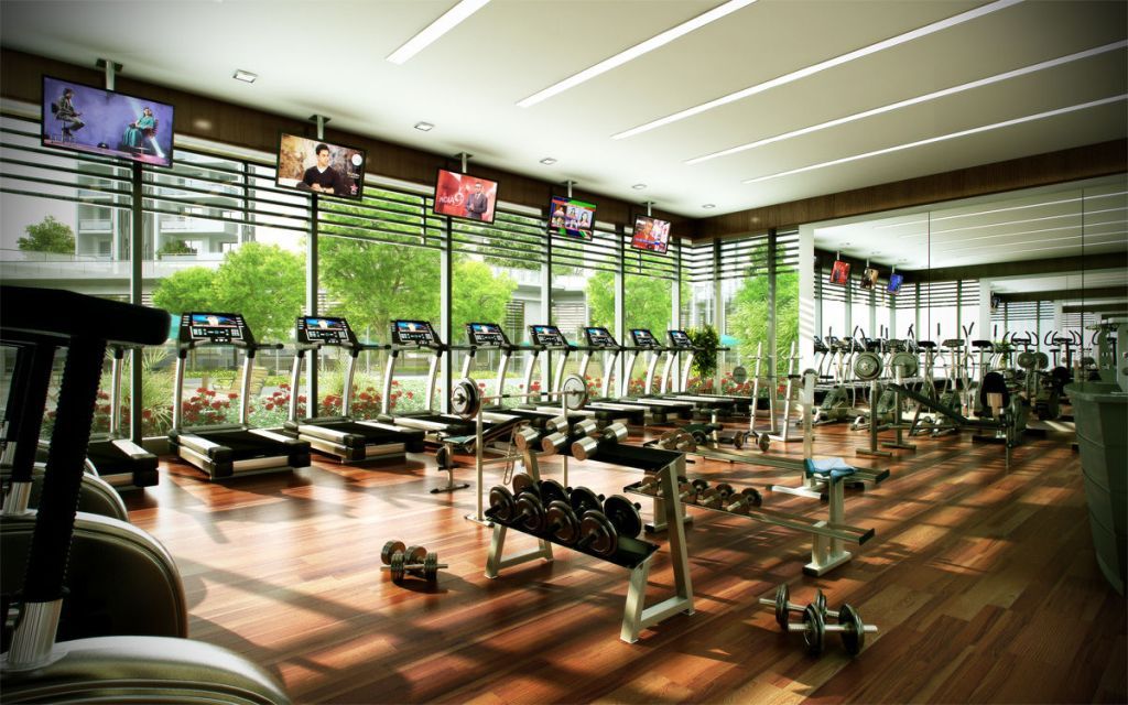 thiết kế website phòng tập gym