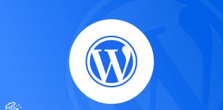 website theme in wordpress