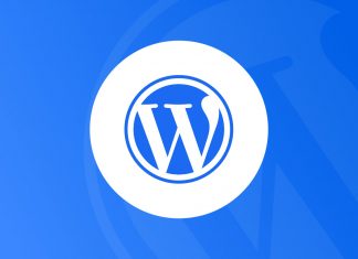 website theme in wordpress