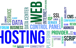 Hosting là gì? Vai trò của hosting?