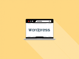 check theme wordpress website