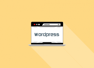 check theme wordpress website