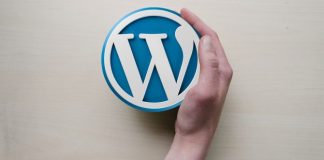 wordpress theme website and blog