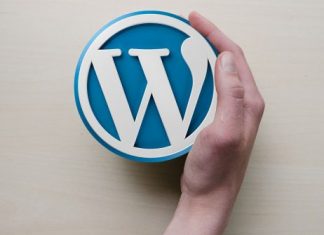 wordpress theme website and blog