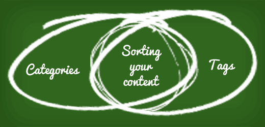 Nên SEO tag hay SEO category cho Website