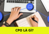 CPO trong marketing