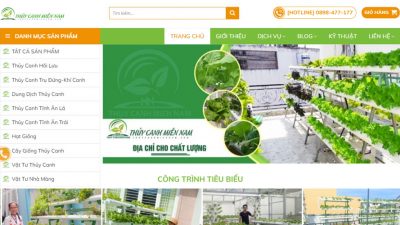 thiết kế website