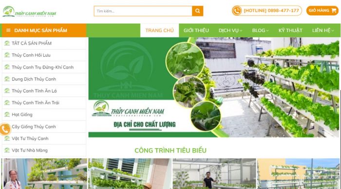 thiết kế website