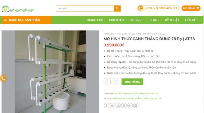 thiết kế website