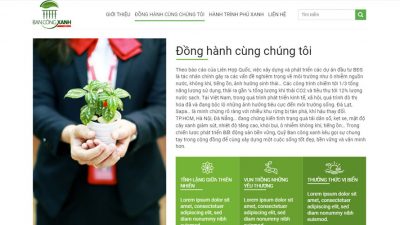 thiết kế website